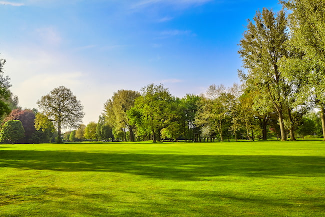 AdobeStock_159485891 a lovely park