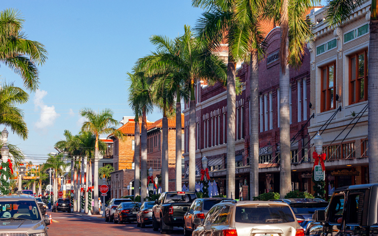 A city street with cars and palm trees.