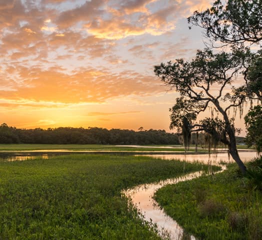mtli-jacksonville-state-park Jacksonville Little Talbot Island
